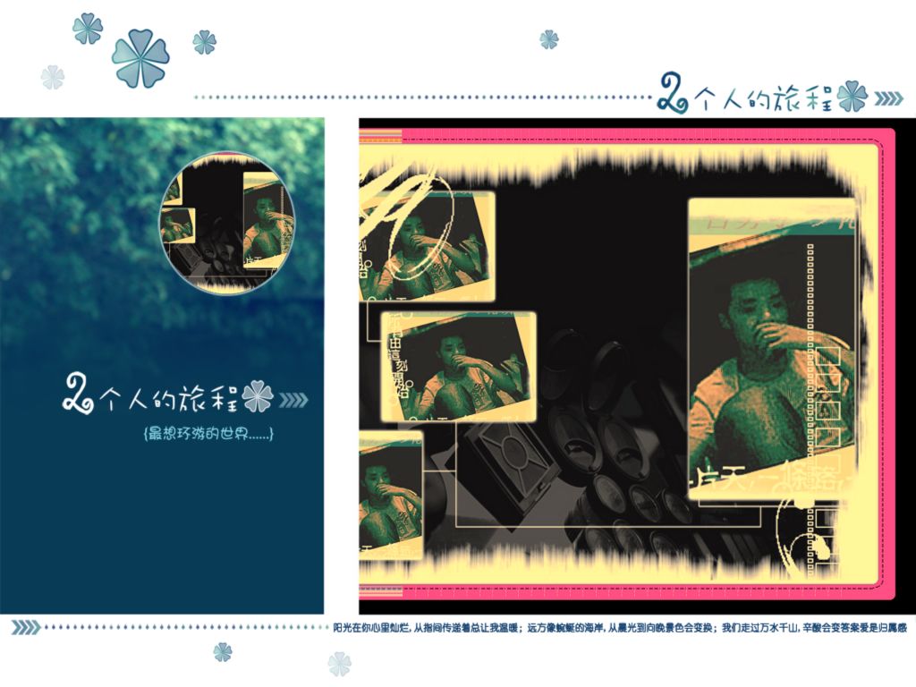 全新的猫仔`!!!!!